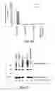 Fig. 11 - Methods of determining cellular chemosensitivity