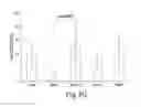 Fig. 16 - Methods of determining cellular chemosensitivity