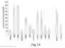 Fig. 26 - Methods of determining cellular chemosensitivity