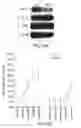 Fig. 30 - Methods of determining cellular chemosensitivity