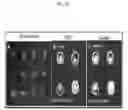 Fig. 19 - Microtentacle imaging in patient tumor samples