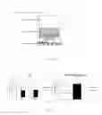Fig. 02 - Screening assay for choice of prebiotic to prevent/treat gastrointestinal and systemic diseases
