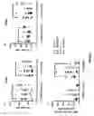 Fig. 06 - Screening assay for choice of prebiotic to prevent/treat gastrointestinal and systemic diseases