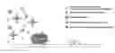 Fig. 01 - Method for detecting detection object in sample, and detection kit using same
