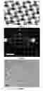 Fig. 04 - Method for Producing an Array of Planar Microparticles with Surface Molecular Multiplexing, Resulting Array and Use Thereof