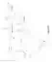 Fig. 13 - Bis-biotinylation tags