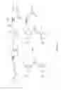 Fig. 17 - Bis-biotinylation tags