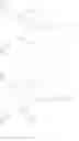 Fig. 18 - Bis-biotinylation tags