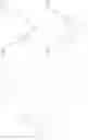 Fig. 21 - Bis-biotinylation tags