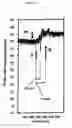 Fig. 06 - DETECTION OF BIOAGENTS USING A SHEAR HORIZONTAL SURFACE ACOUSTIC WAVE BIOSENSOR