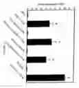 Fig. 08 - DETECTION OF BIOAGENTS USING A SHEAR HORIZONTAL SURFACE ACOUSTIC WAVE BIOSENSOR