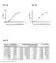 Fig. 08 - Antibody-based arrays for detecting multiple signal transducers in rare circulating cells