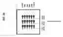 Fig. 15 - Antibody-based arrays for detecting multiple signal transducers in rare circulating cells