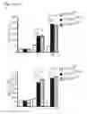 Fig. 05 - Personalized therapy of inflammation-associated cancer using methods of assessing the susceptibility of a subject to the treatment with EGFR inhibitors/antagonists