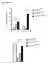 Fig. 12 - Personalized therapy of inflammation-associated cancer using methods of assessing the susceptibility of a subject to the treatment with EGFR inhibitors/antagonists