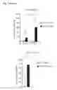 Fig. 25 - Personalized therapy of inflammation-associated cancer using methods of assessing the susceptibility of a subject to the treatment with EGFR inhibitors/antagonists