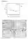 Fig. 29 - Personalized therapy of inflammation-associated cancer using methods of assessing the susceptibility of a subject to the treatment with EGFR inhibitors/antagonists
