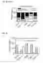 Fig. 64 - Personalized therapy of inflammation-associated cancer using methods of assessing the susceptibility of a subject to the treatment with EGFR inhibitors/antagonists
