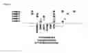 Fig. 02 - Organ Specific Diagnostic Panels and Methods for Identification of Organ Specific Panel Proteins