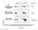 Fig. 45 - METHODS FOR DIAGNOSIS, PROGNOSIS AND METHODS OF TREATMENT