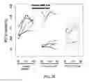 Fig. 57 - METHODS FOR DIAGNOSIS, PROGNOSIS AND METHODS OF TREATMENT