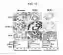 Fig. 14 - CANCER BIOMARKERS AND METHODS OF USE THEREOF