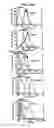 Fig. 45 - CANCER BIOMARKERS AND METHODS OF USE THEREOF