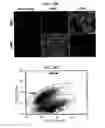 Fig. 46 - CANCER BIOMARKERS AND METHODS OF USE THEREOF