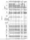 Fig. 13 - Molecular display system