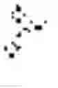 Fig. 05 - Detection agent for detecting 25-hydroxy vitamin D, preparation method and use