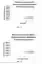 Fig. 12 - Linear-response nanocrystal scintillators and methods of using the same