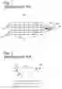 Fig. 02 - Method and apparatus for directional designature