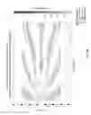 Fig. 14 - Continuous beamforming while moving: method to reduce spatial aliasing in leak detection