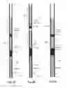 Fig. 08 - Gamma-ray detectors for downhole applications