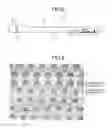 Fig. 04 - Planar illumination apparatus with scattering unit by rayleigh scattering