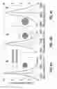 Fig. 08 - Methods and apparatus for transparent display using scattering nanoparticles