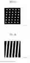 Fig. 09 - Backlight unit and autostereoscopic 3D display device including the same