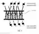 Fig. 05 - DISPLAY APPARATUS AND VEHICLE UTILIZING THE SAME