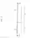 Fig. 03 - Display apparatus and related manufacturing method