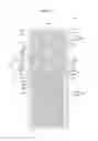 Fig. 22 - Liquid crystal display device