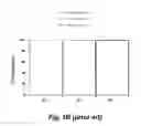 Fig. 03 - Electrochromic devices