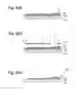 Fig. 03 - Method for forming resin cured film pattern, photosensitive resin composition, photosensitive element, method for producing touch panel, and resin cured film