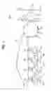 Fig. 02 - Carrier, developing agent, image forming apparatus, image forming method, replenishment toner, and process cartridge