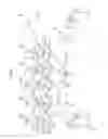 Fig. 02 - Image forming apparatus including forming unit capable of forming transfer-object image and patch image
