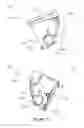 Fig. 08 - Electrophotographic image forming apparatus, developing apparatus, and coupling member