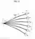 Fig. 13 - Wearable device