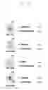 Fig. 17 - ELECTRONIC DEVICE AND METHOD OF MANAGING APPLICATION PROGRAMS THEREOF