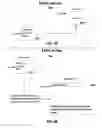 Fig. 11 - Detecting data corruption by control flow interceptions