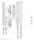 Fig. 09 - Transmission system that includes master device and a plurality of slave devices