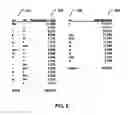 Fig. 06 - Systems and methods for asymmetrical formatting of word spaces according to the uncertainty between words
